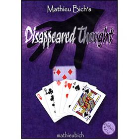 Disappeared Thought By Mathieu Bich's