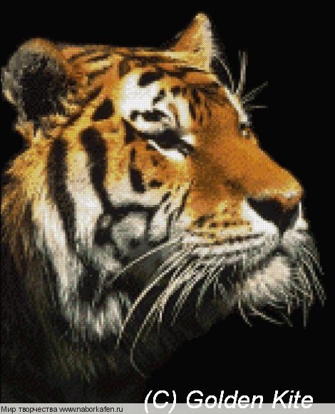 499 Golden Tiger (small)