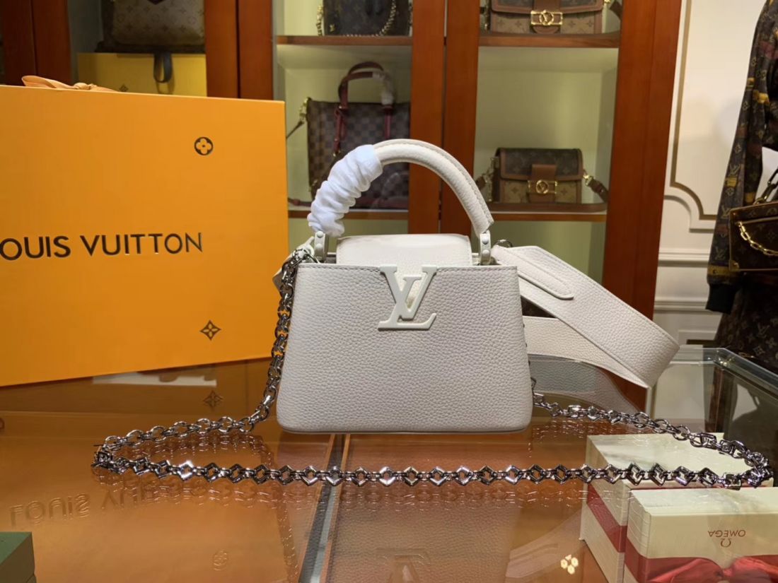Louis Vuitton Cappucines mini