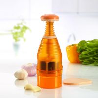 Измельчитель Чоппер_1
