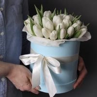 31 белый тюльпан в шляпной коробке