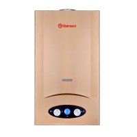 Проточный газовый водонагреватель Thermex G 20 D (Golden brown) (351103)