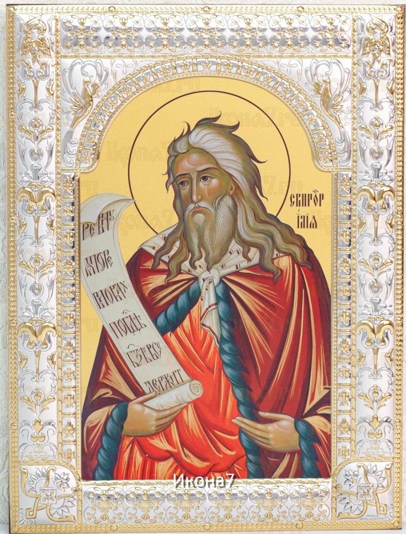 Икона Пророк Илия (18х24см)