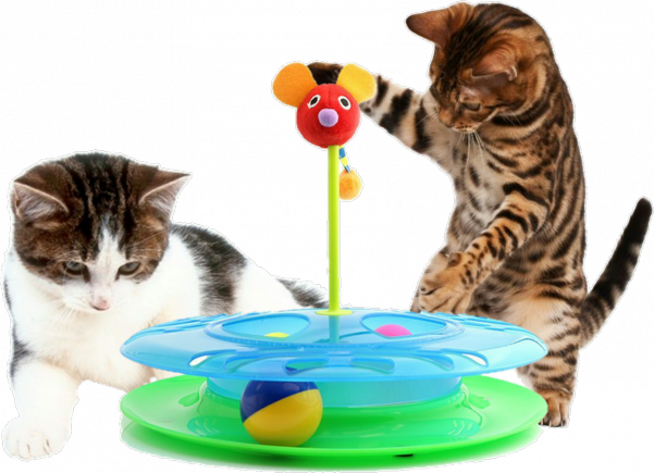 Игрушка-трек для кошек с двумя мячиками Cheese Chase