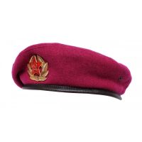 Малиновый берет ВДВ_2