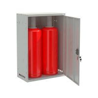 Шкаф для газовых баллонов «ШГР 50-2-4» (2х50л)