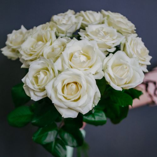 Букет цветов из 11 белых роз
