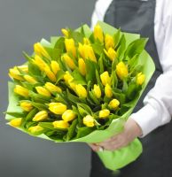 Тюльпаны 51 шт (любой цвет)