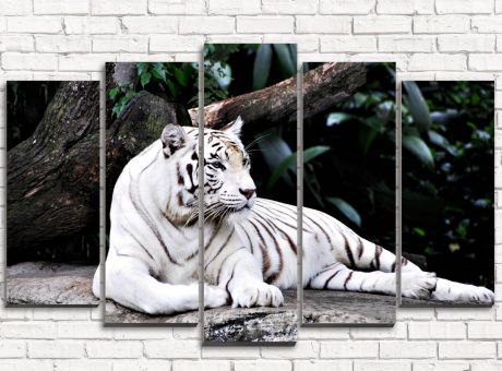 Модульная картина Белый тигр
