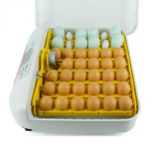 Автоматический инкубатор на 41 куриное яйцо "SITITEK 40"