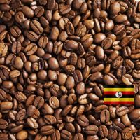 Робуста Уганда - кофе в зёрнах