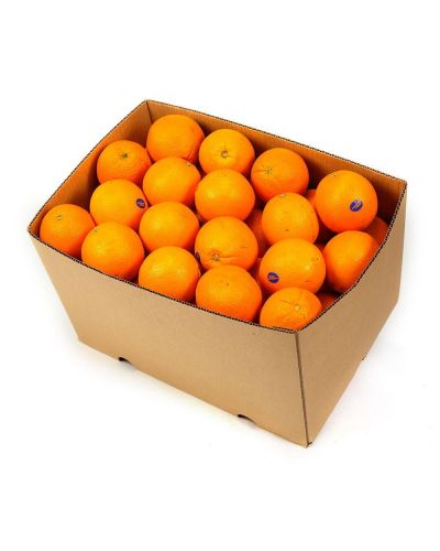 Коробка Апельсинов для сока 15кг