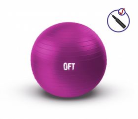 Гимнастический мяч 55 см фуксия с насосом FT-GBR-55FX