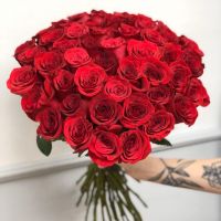 51 красная роза Эквадор 60см