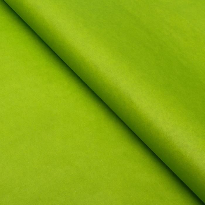 Бумага цветная, Тишью (шёлковая), 510 х 760 мм, Sadipal, 1 лист, 17 г/м2, зелёный, упак 25 лист