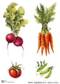 Vegetables set 3