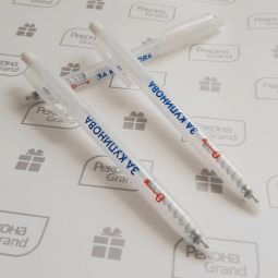 ручки с логотипом к выборам