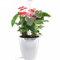 Интеллектуальный цветочный горшок Green Helper GZ201-5 c фитолампой