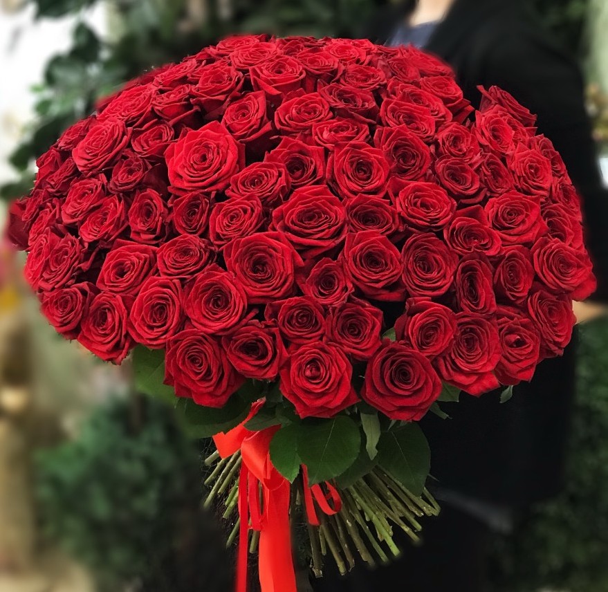 101 красная роза 50 -60 см. Импорт