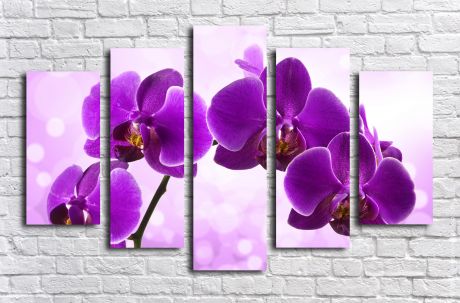 Модульная картина Цветение фиолетовой орхидеи