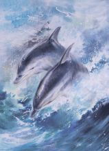 Почтовая открытка Дельфины