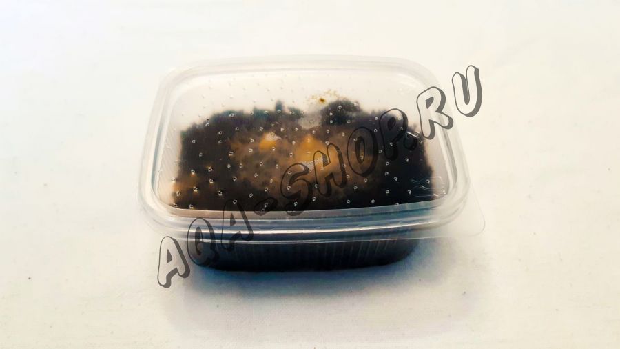 Гриндальский червь (Enchytraeus buchholzi) - стартовая культура