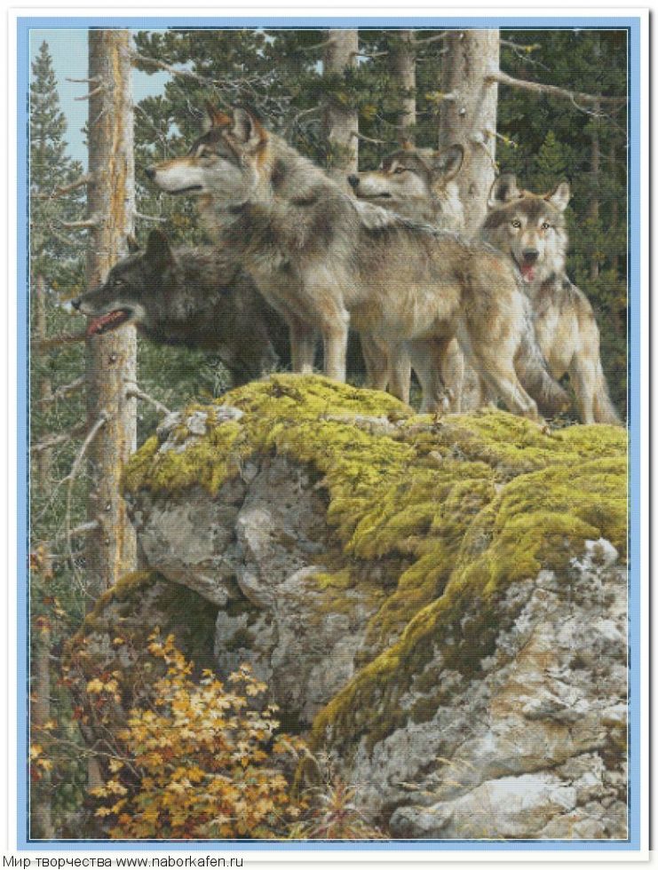 Набор для вышивания "00144 Лесные волки в дозоре"