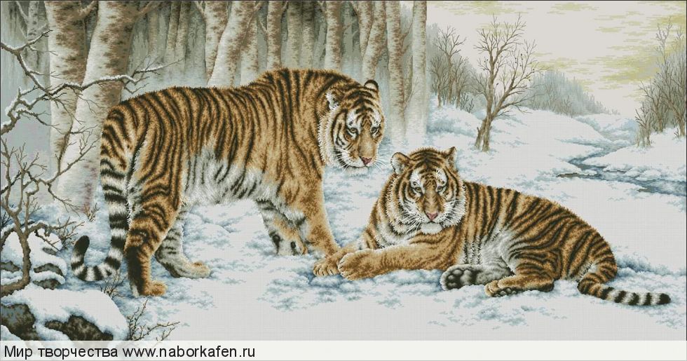 Набор для вышивания "Бенгальские тигры"