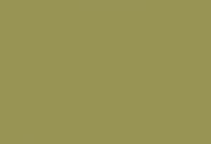 LM 0065 Зеленый тенеро (ФАСАД)