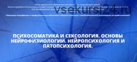 Психосоматика и сексология. Основы нейрофизиологии. Нейропсихология и патопсихология