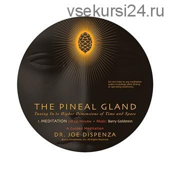 The Pineal Gland: Tuning In to Higher Dimensions of Time and Space (Joe Dispenza)