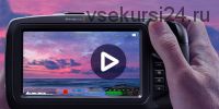 [liveclasses] Настройки камер Blackmagic Pocket Cinema Camera 4K (Дмитрий Скобелев)