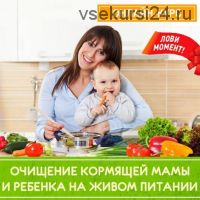 Очищение кормящей мамы и ребенка на живом питании (Кристина Хлыстова)