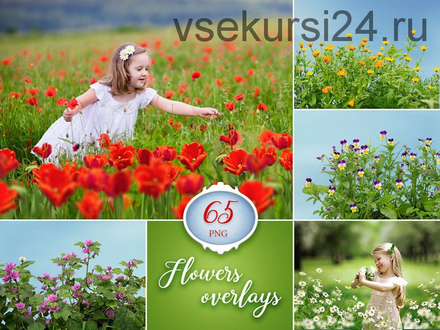 [Fotolit] 65 Flowers overlays / Набор цветочных наложений