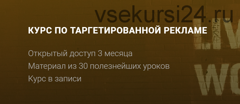 Курс по таргетированной рекламе. Пакет Стандарт (Маша Васильева)