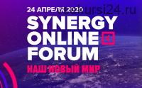 Synergy Online Forum, 24 апреля 2020. Пакет 'Standart' (Ицхак Адизес)