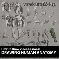 Как рисовать: рисуем анатомию человека / How to Draw: Drawing Human Anatomy (Аарон Блейз)