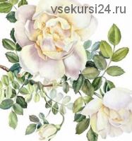 [Arttsapko] Акварельный роза (Анастасия Колбина)