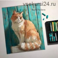 [lectoroom] Рыжий кот пастелью (Мария Павлова)