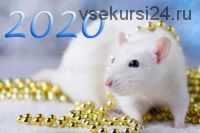 2020 год золотой крысы (Снежана Тихонова)
