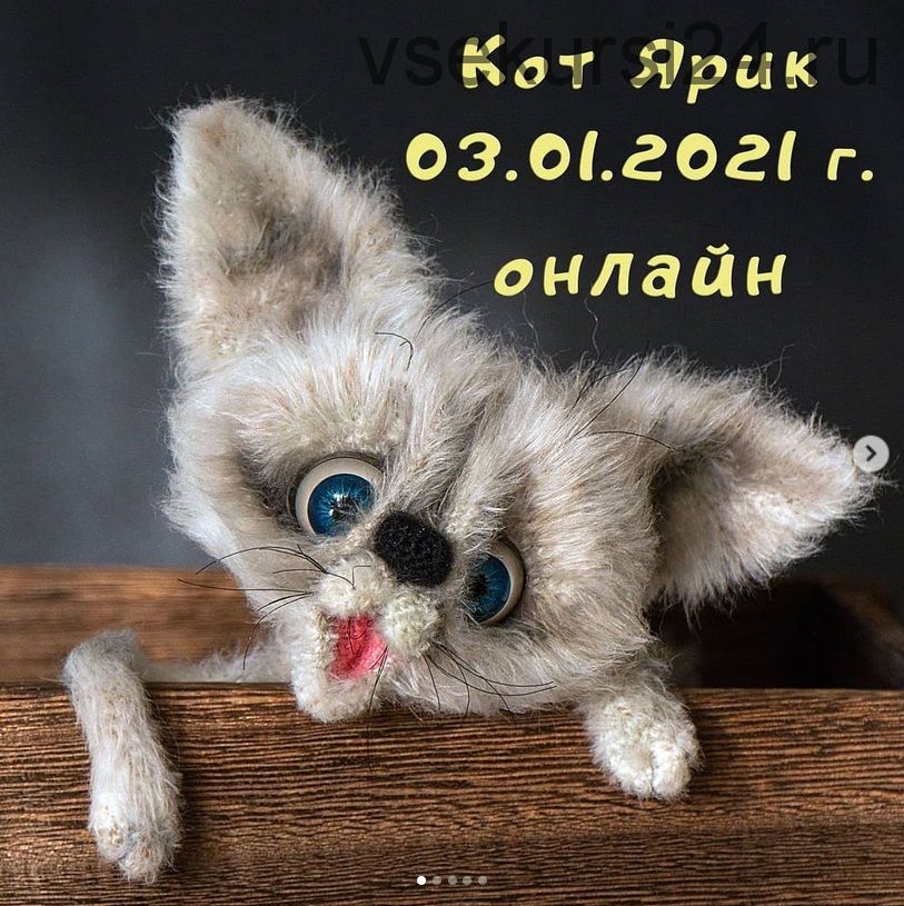 Кот Ярик (Светлана Перцева)