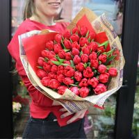 Красные тюльпаны (от 15 шт)