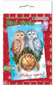 Набор для изготовления новогодней открытки "Две совы" (AБ 23-522)