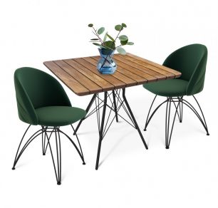 Стол со стульями Sheffilton SHT-DS114 лиственно-зеленый/черный муар/браш.корич