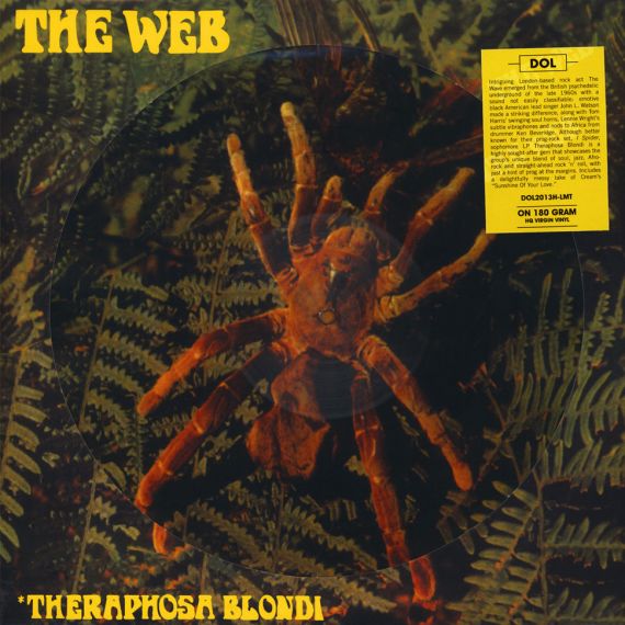The Web – Theraphosa Blondi 1969