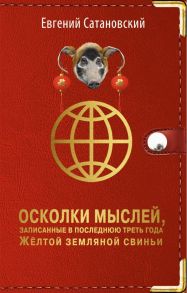 Осколки мыслей, записанные в последнюю треть года Желтой Земляной Свиньи - Сатановский Евгений Янович