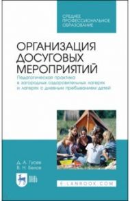 Организация досуговых мероприятий. Педагогический потенциал народного прикладного творчества / Гусев Дмитрий Александрович