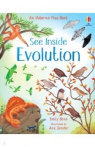 See Inside Evolution / Frith Alex