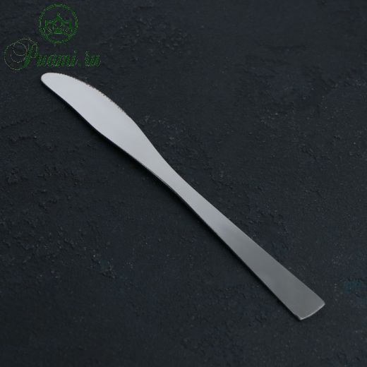 Нож столовый Доляна Gleen, 22 см, толщина 2 мм