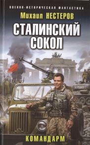 Нестеров М. Сталинский сокол Командарм